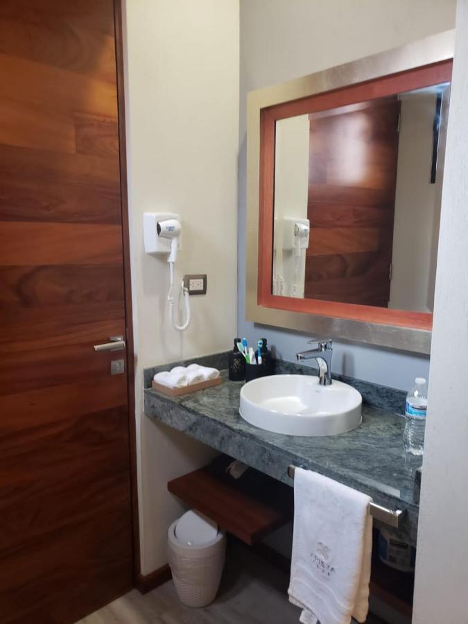 Hotel Arista 1026 San Luis Potosí Dış mekan fotoğraf